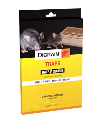 Colle pour rats, souris, rongeurs sur Droguerie Jary