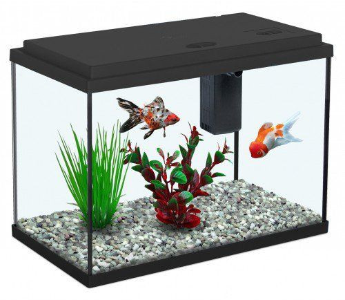 Aquarium funny fish 35 - Noir